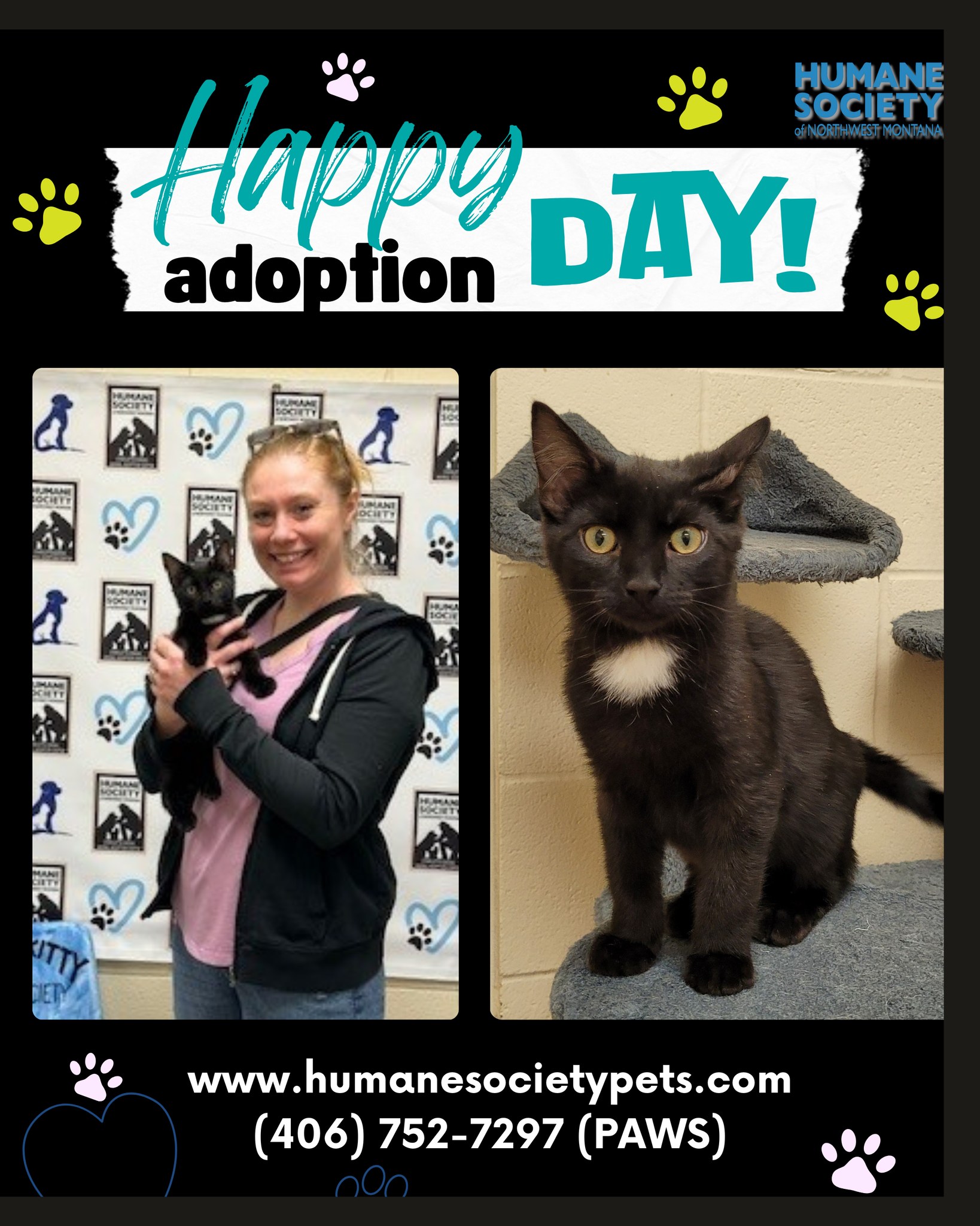 Humane Society of Northwest Montana | Kalispell MT