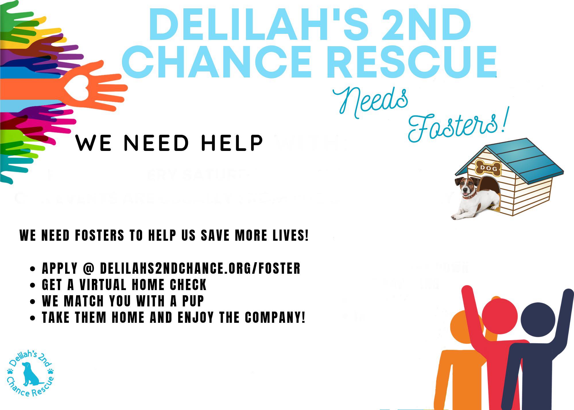 Rescue Me Miami Animal... - Rescue Me Miami Animal Shelter