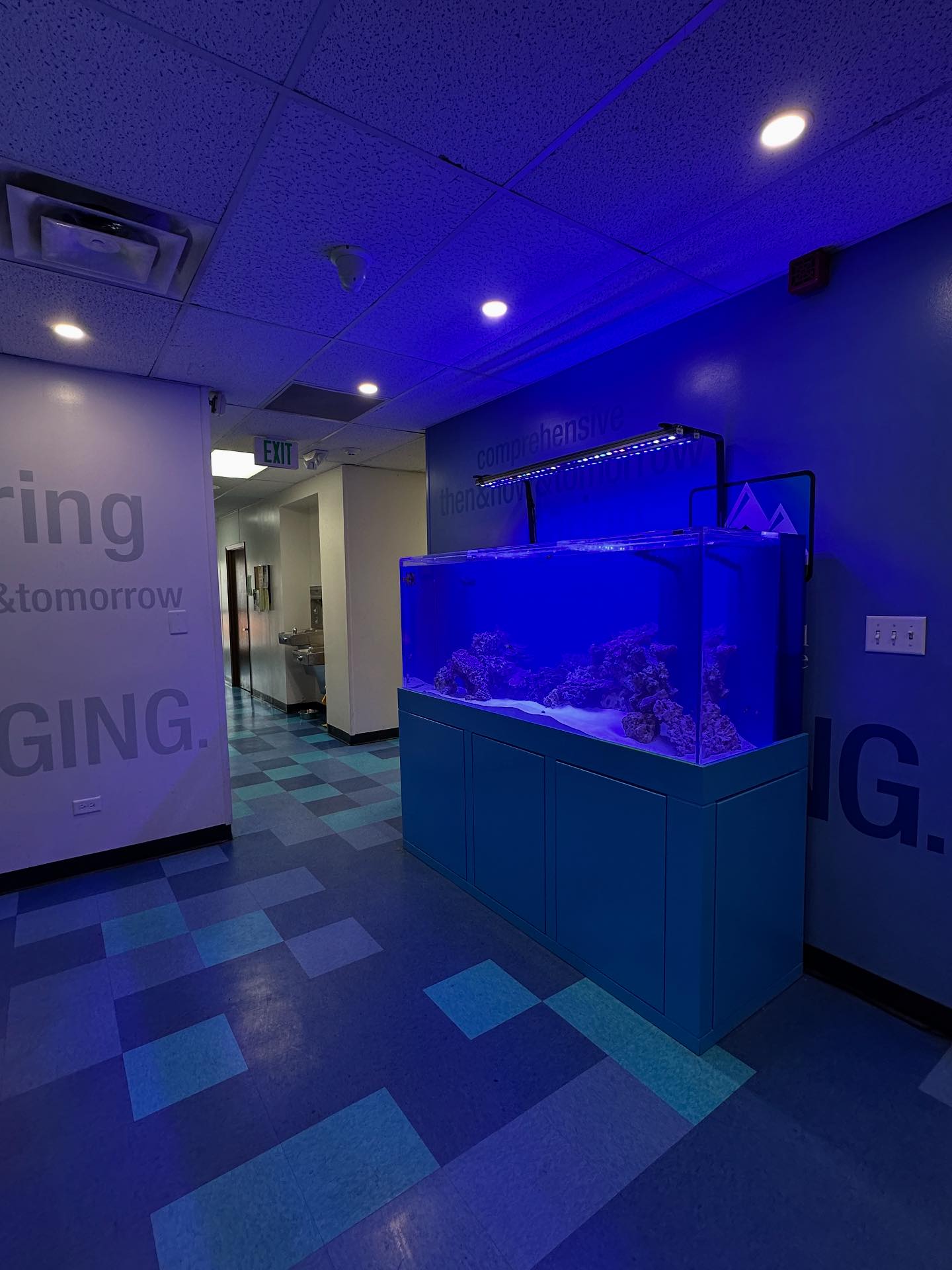 blueridgereefs | Denver CO