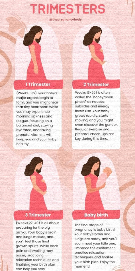 Pregnancy - 🤰🌟 The 3 Trimesters of Pregnancy – A Beautiful Journey 🌟👶 ...