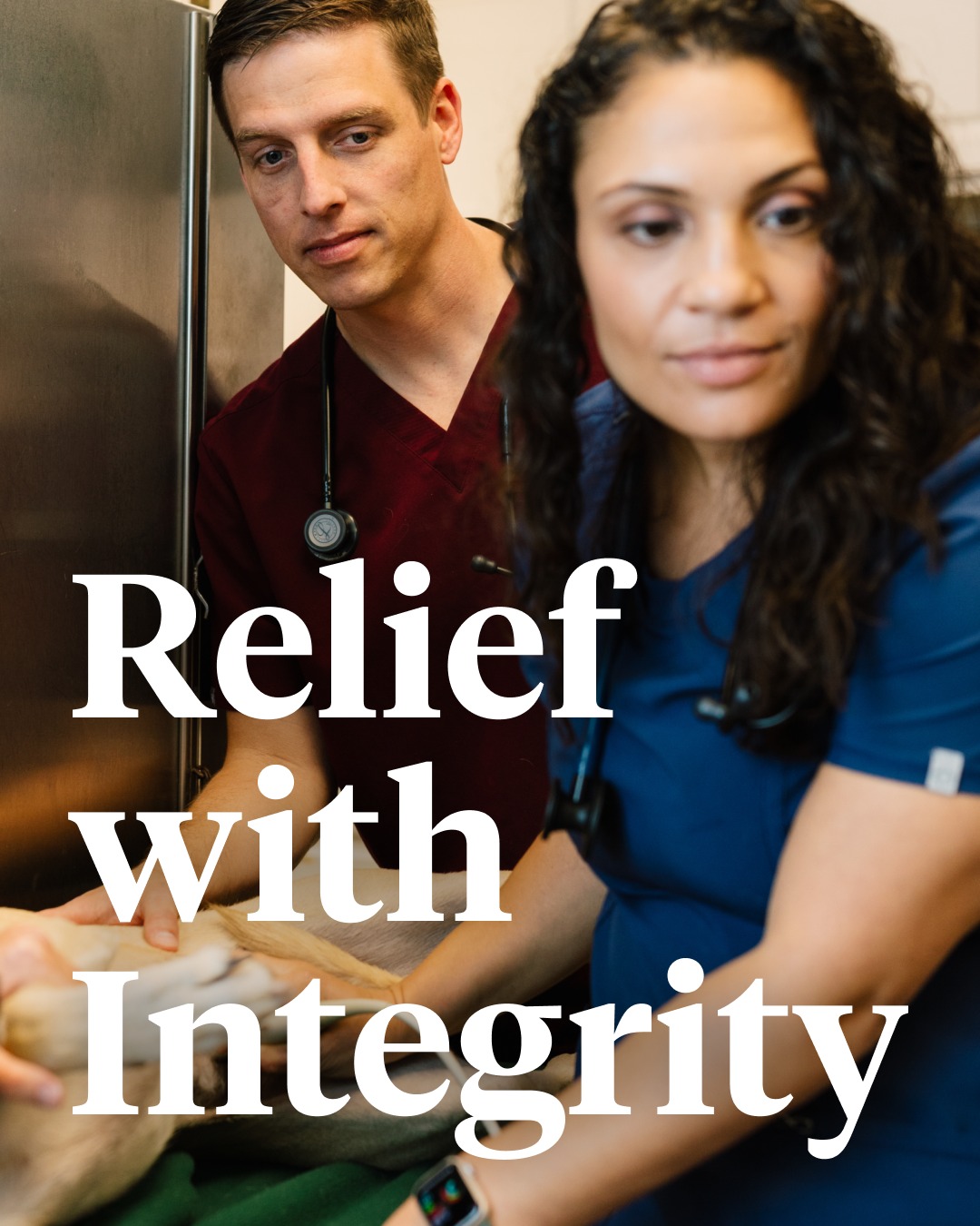 IndeVets - At IndeVets, integrity is at the core of everything we do ...