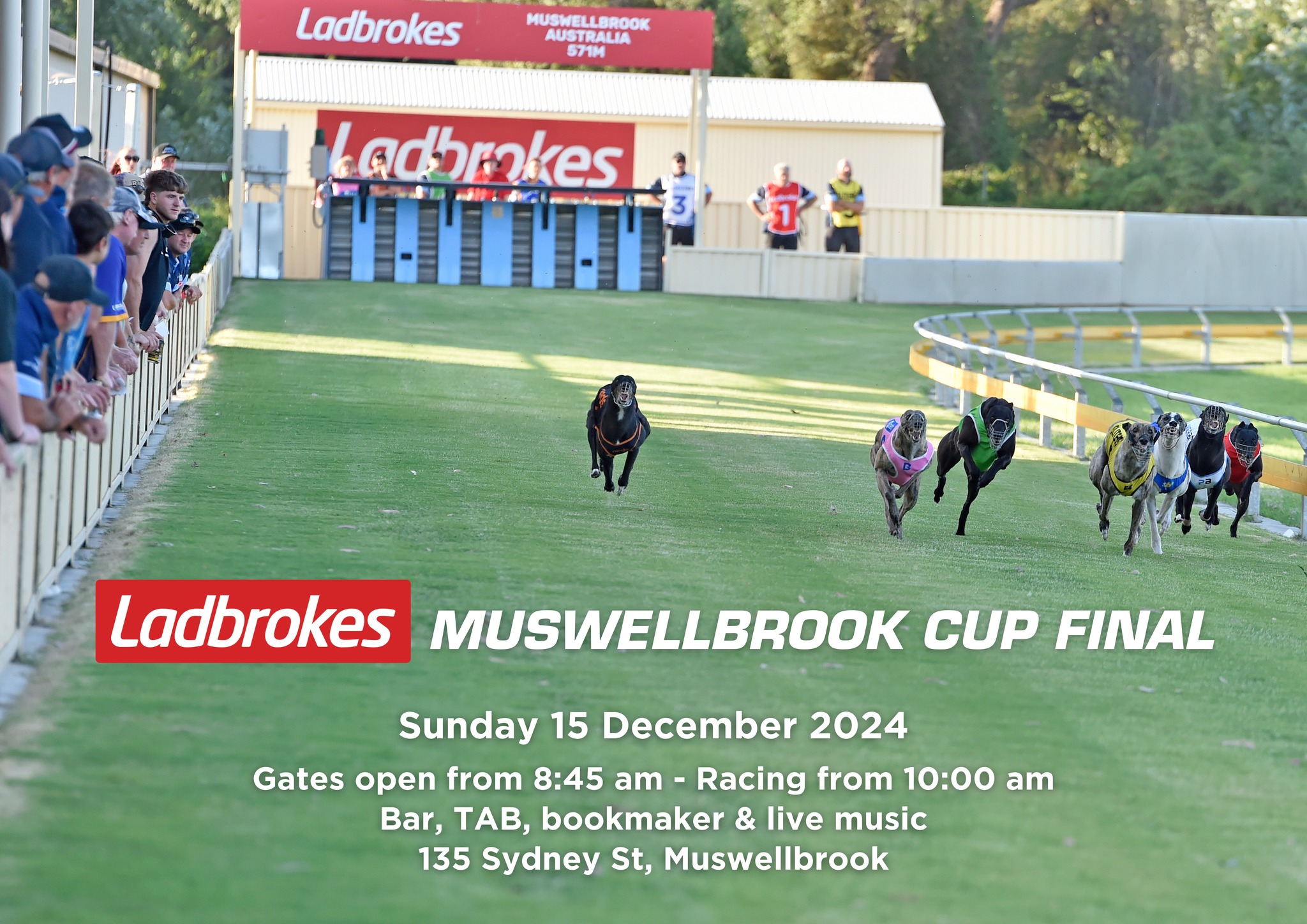 Muswellbrook Greyhounds | Muswellbrook NSW