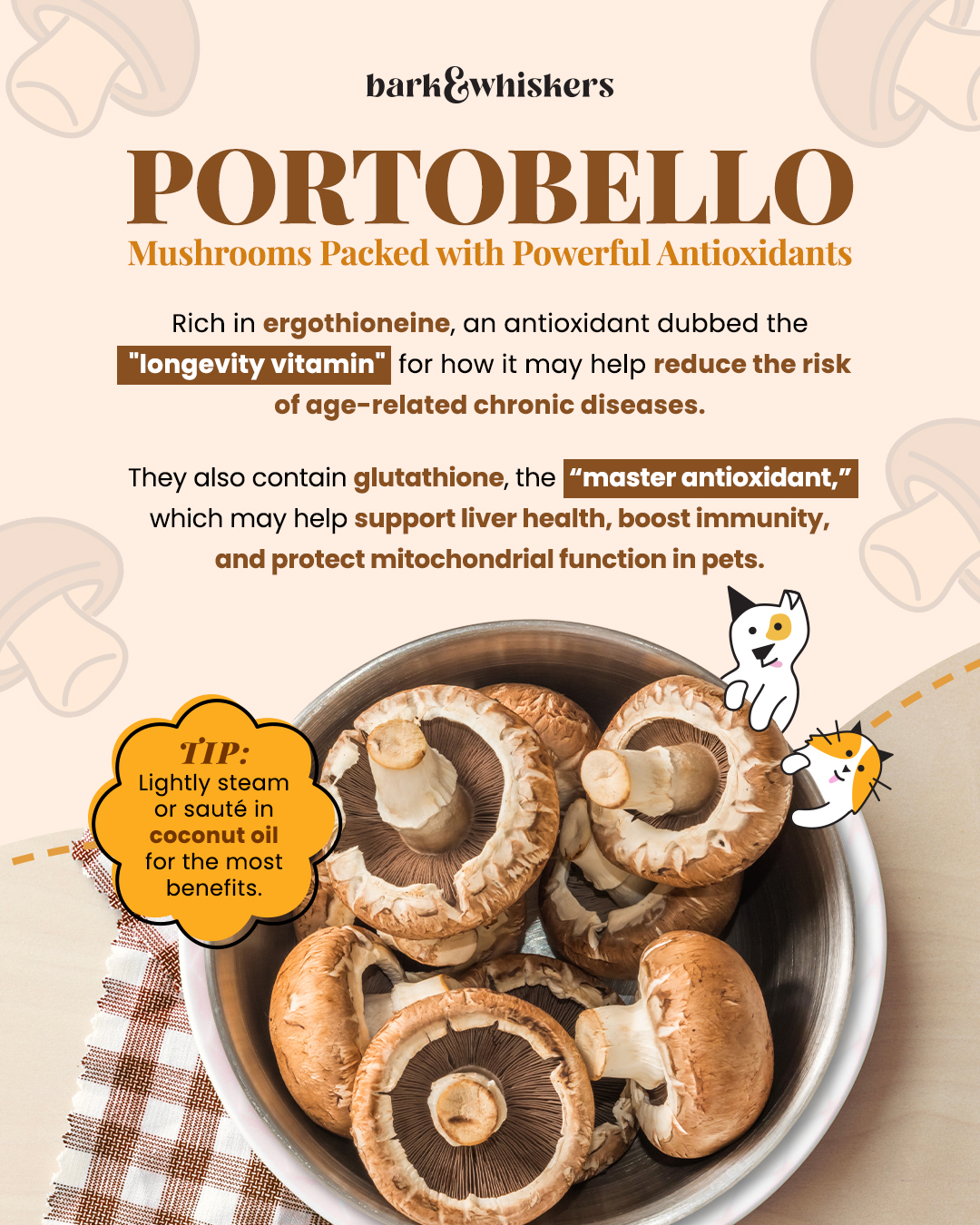mushrooms with glutathione This “longevity mushroom” is safe and absolutely worth sharing your furry companion! 🍄‍🟫🌟 Worried if portobellos are safe for your pet? 🫣 Here's a simple rule to put your mind at Ozempic® and B12: Finding Bundles:Sleep+Lip Serum+Soap winter sunscreen for hydration