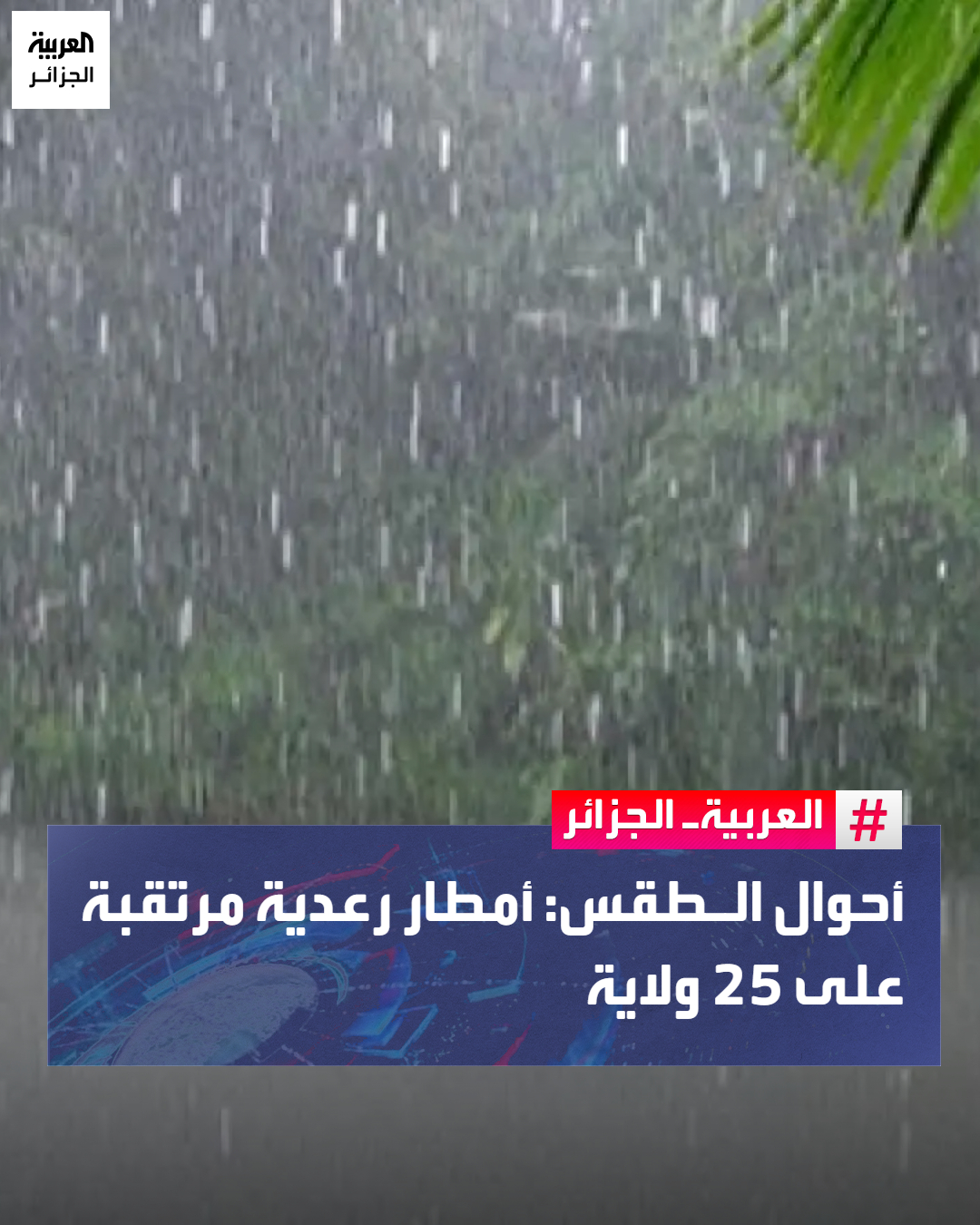 نبه الديوان الوطني... - العربية الجزائر Al Arabiya Algeria | Facebook