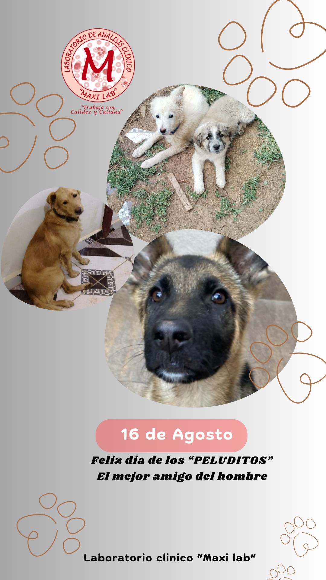 Feliz dia de 