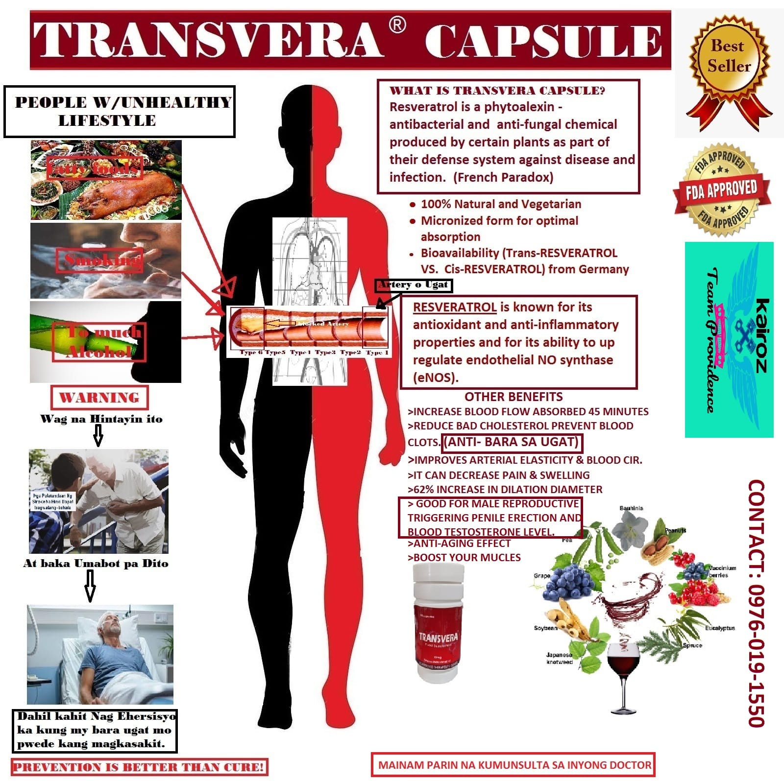 Transvera Philippines