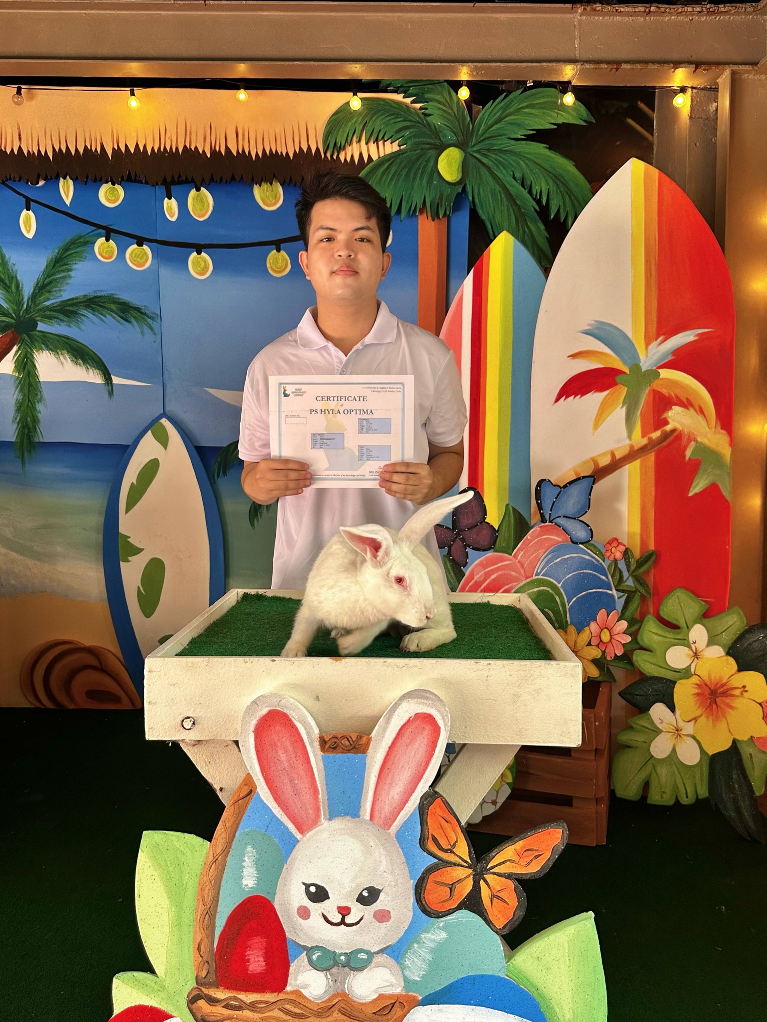 𝐀𝐍𝐎𝐓𝐇𝐄𝐑 𝐑𝐀𝐁𝐁𝐈𝐓 𝐆𝐎𝐄𝐒 𝐓𝐎... - Rabbit Improvement Company | Facebook