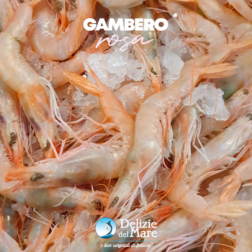 🦐 I gamberi rosa sono dei crostacei dal... - Delizie del Mare | Facebook