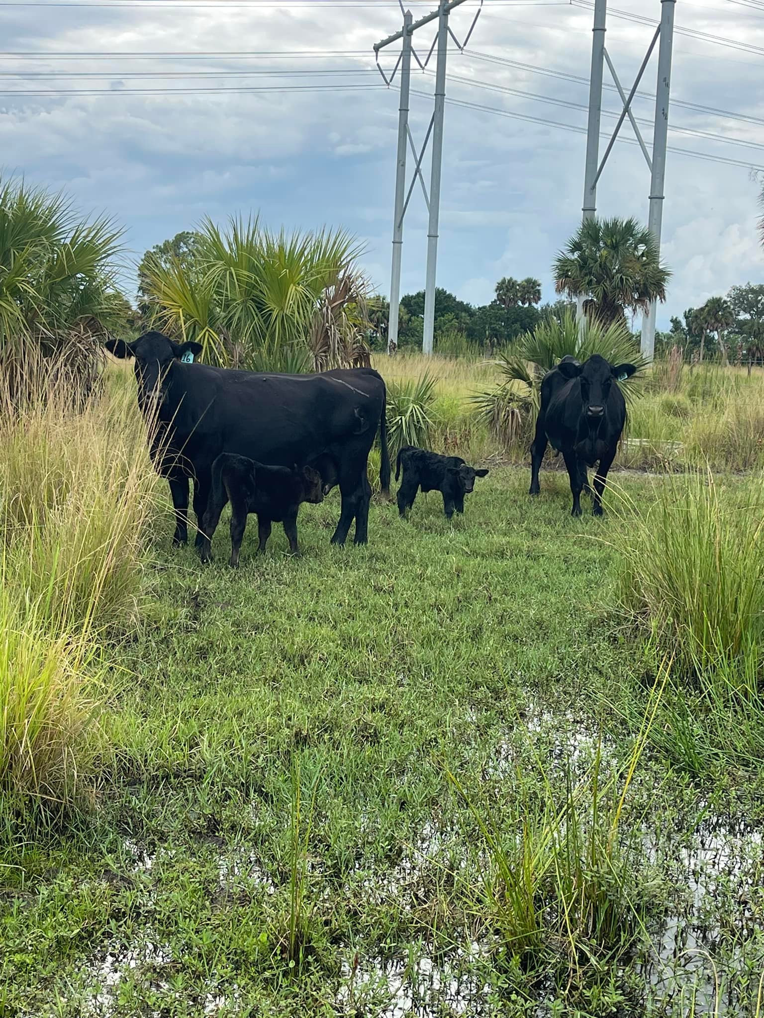 Rockin KP Ranch LLC
