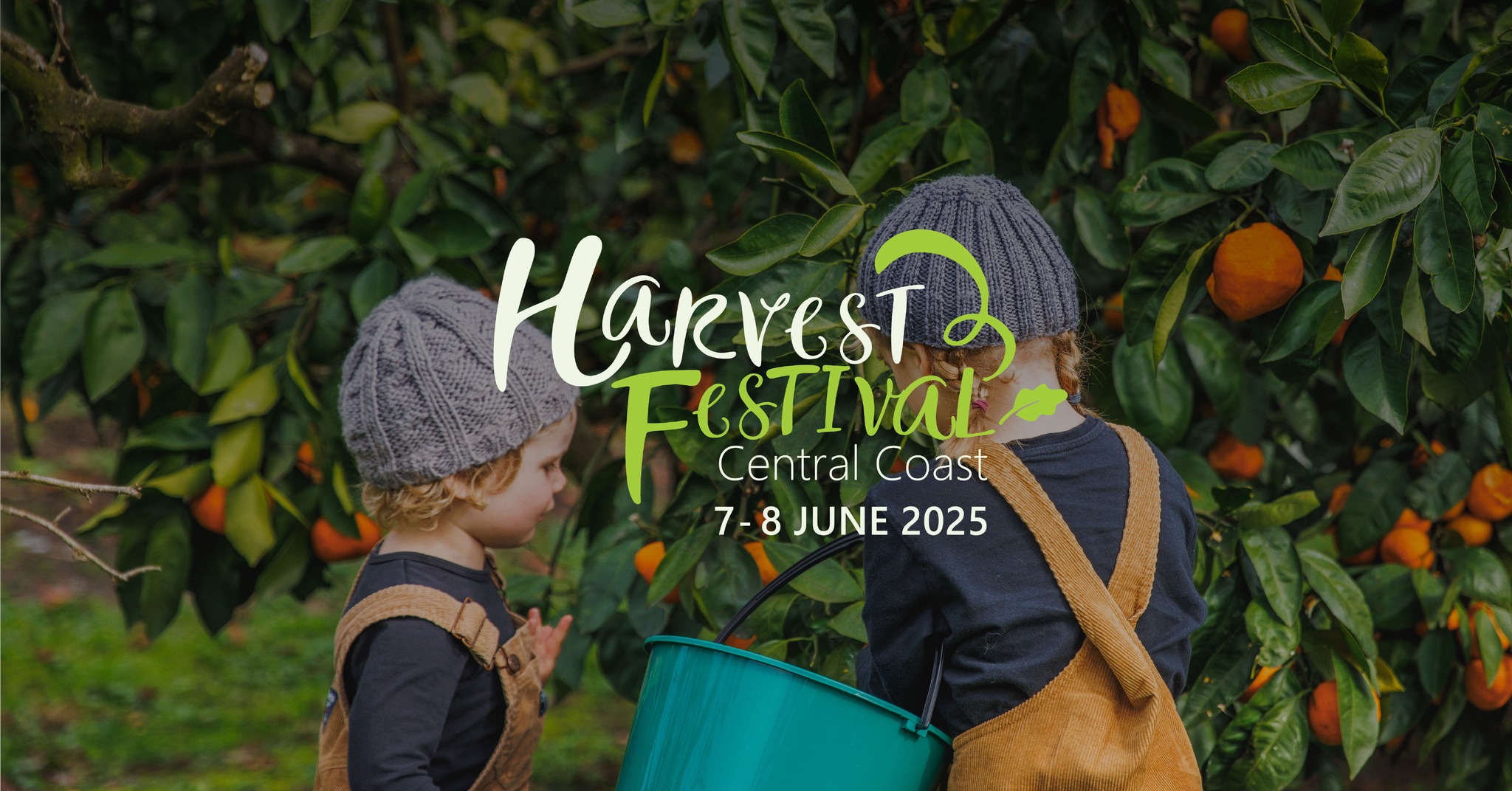 Harvest Festival 2025