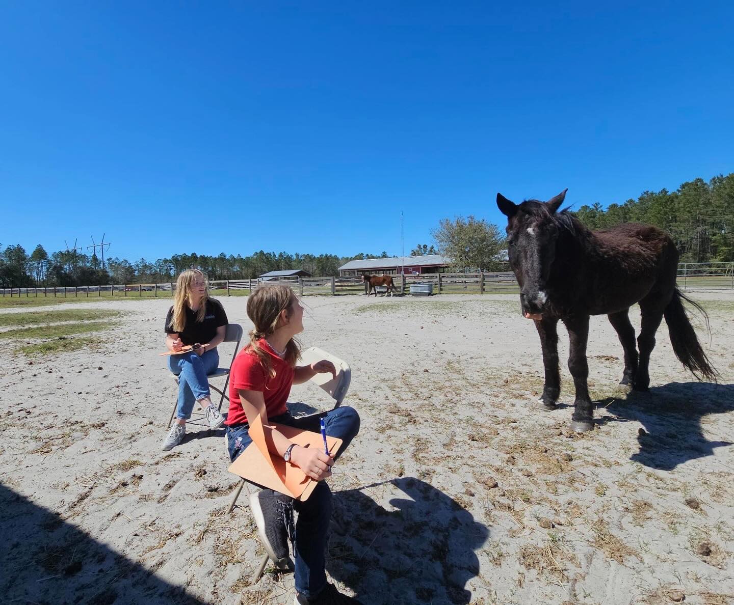 Seamark Ranch | Green Cove Springs FL