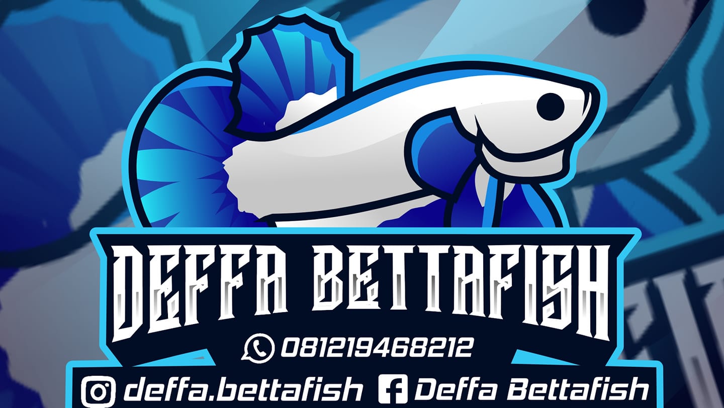 deffa.bettafish | Jakarta