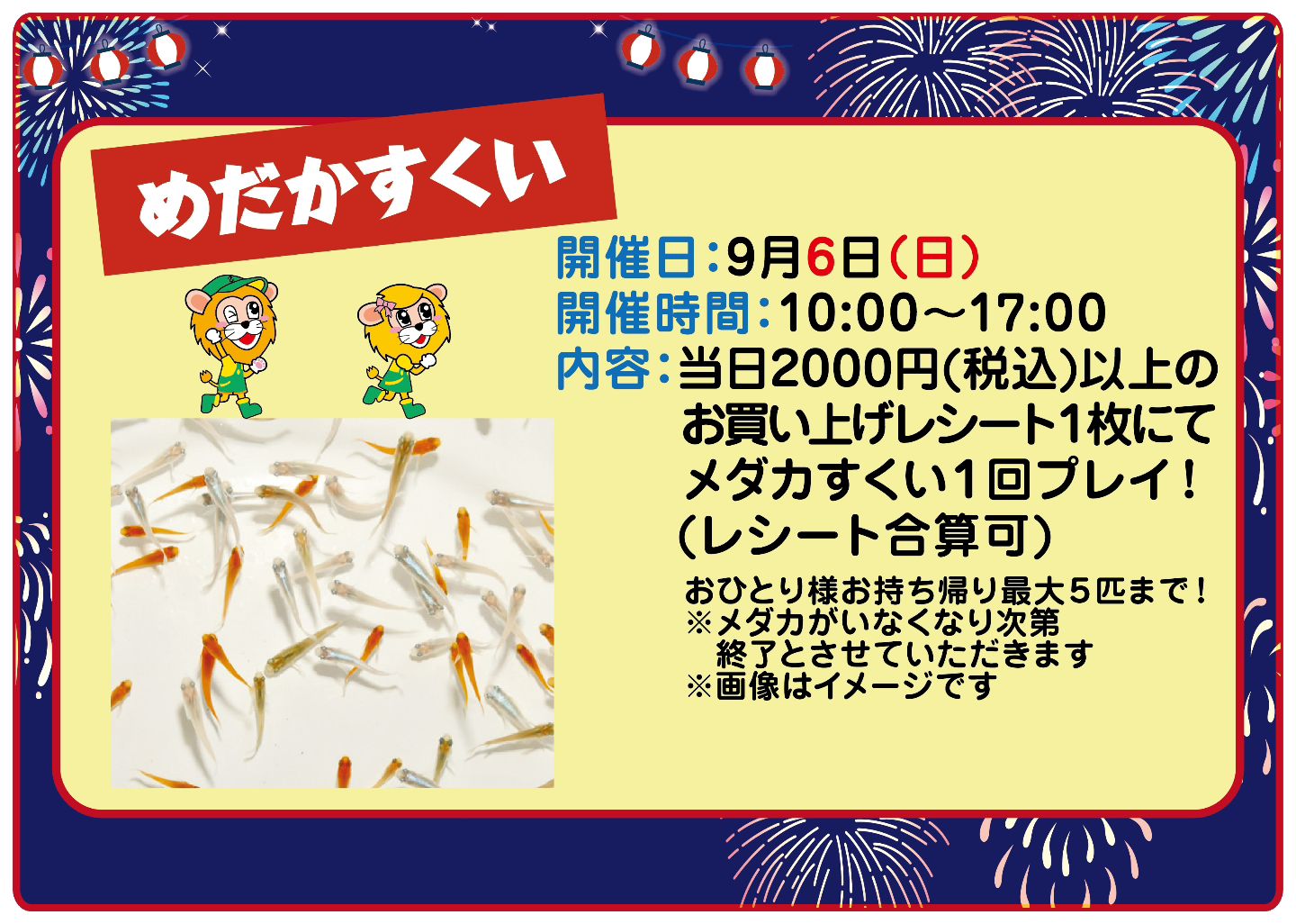 購入金額より5％OFFの最強のプレミアムクーポンのご利用が、ついに