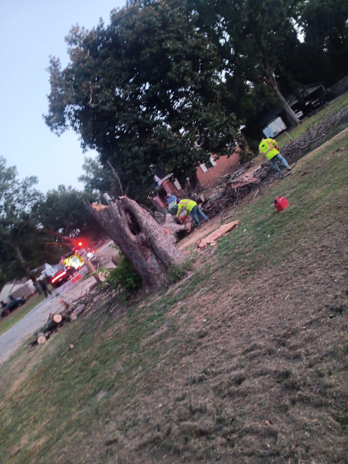 Trees R Us LLC