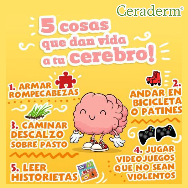 Ceraderm - Conoce las 5 cosas que le dan vida a tu cerebro... | Facebook