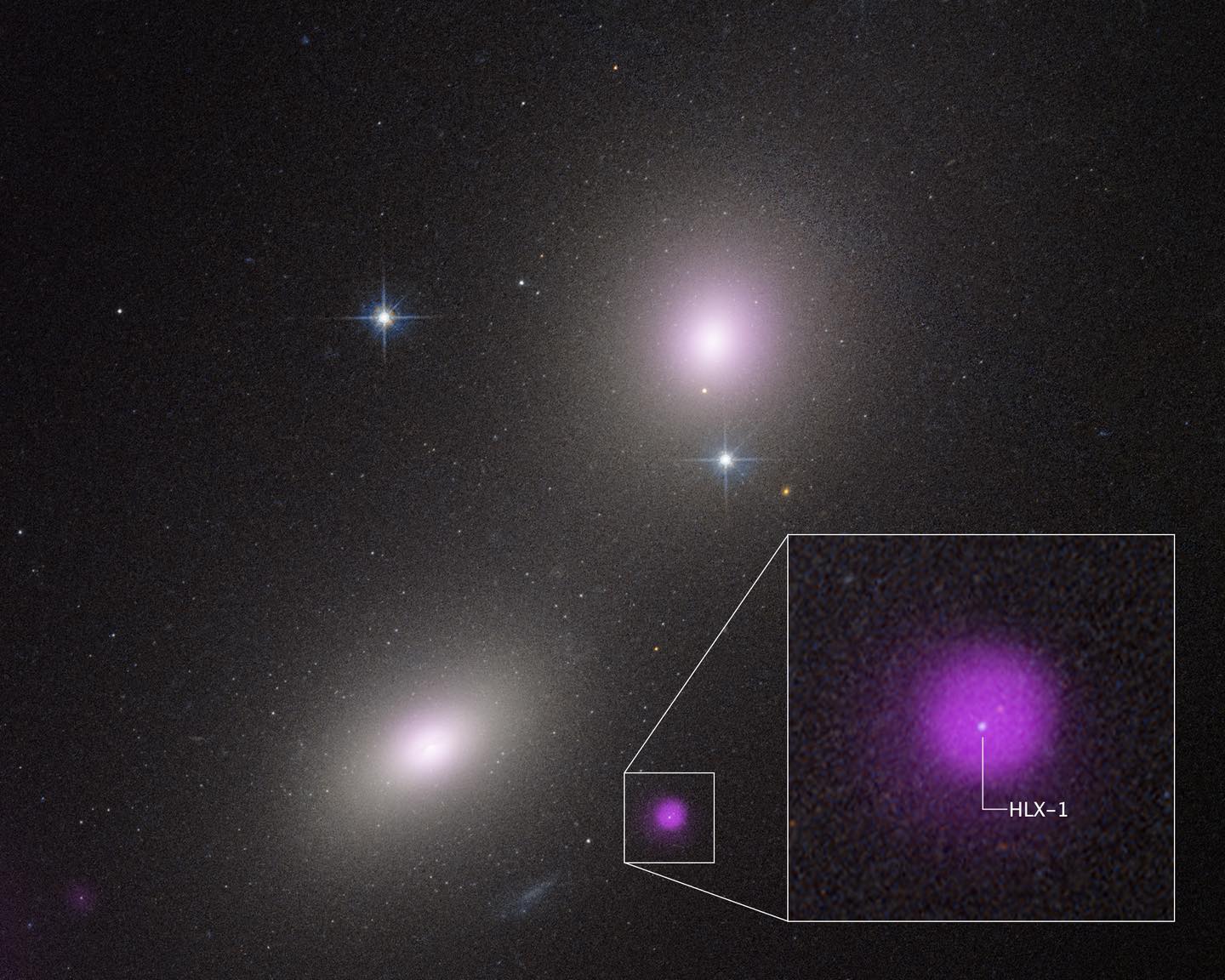 A rogue black hole, lying far from any galactic center, is tearing