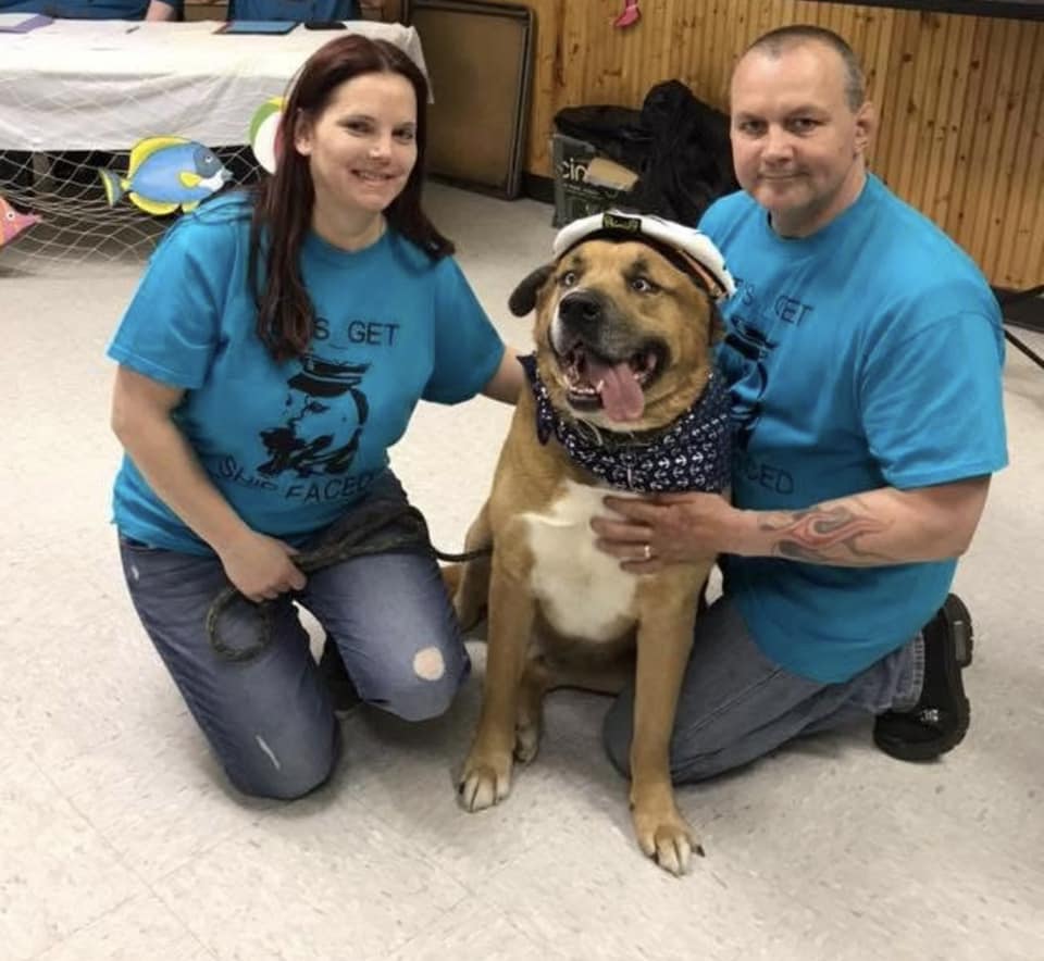 Pet Project Marseilles Il