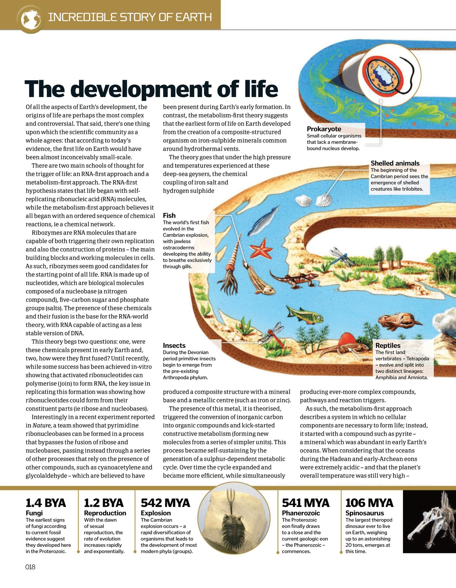 Ceres - The Development of Life, Part 1, by DK Incredible Earth. | Facebook