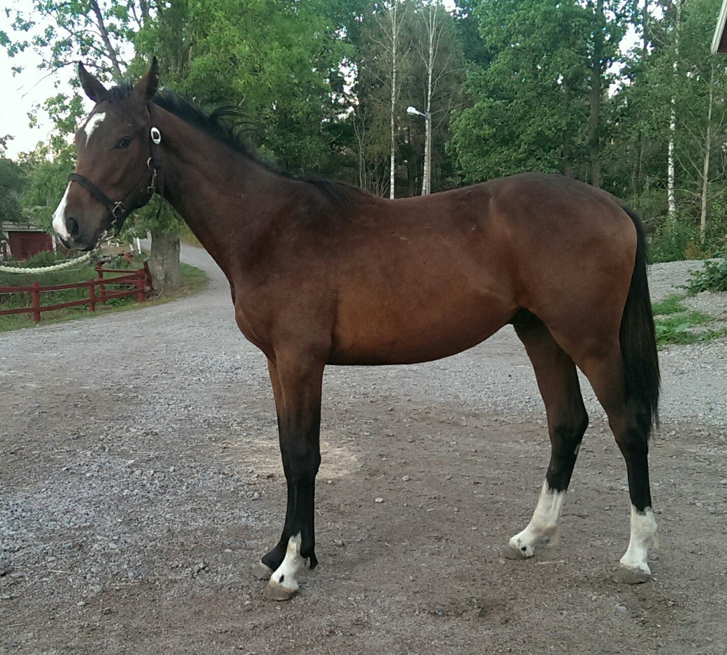 Stall Egermo | Vimmerby