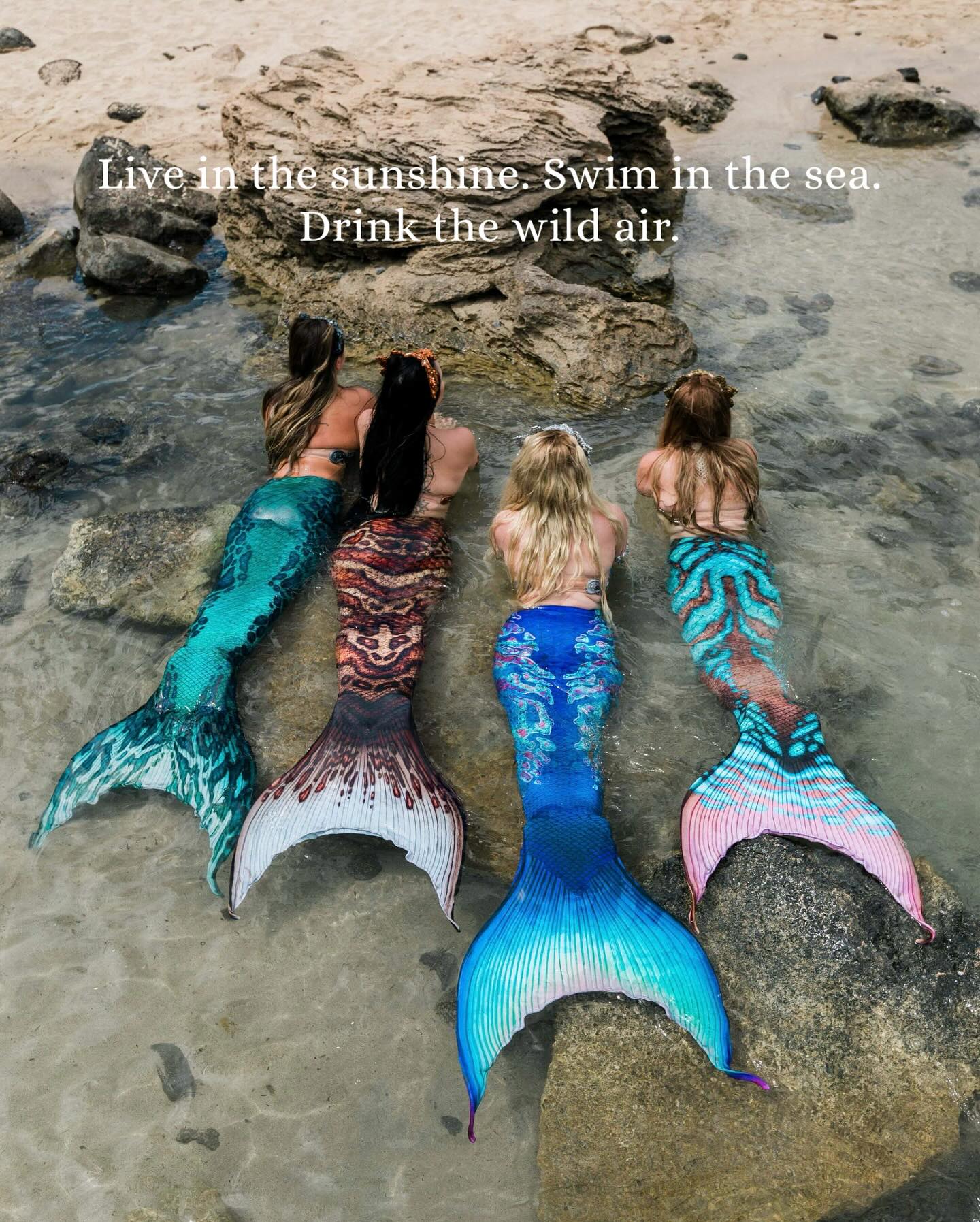 Finfolk Productions - https://www.finfolk.com/collections/tail-of-the ...