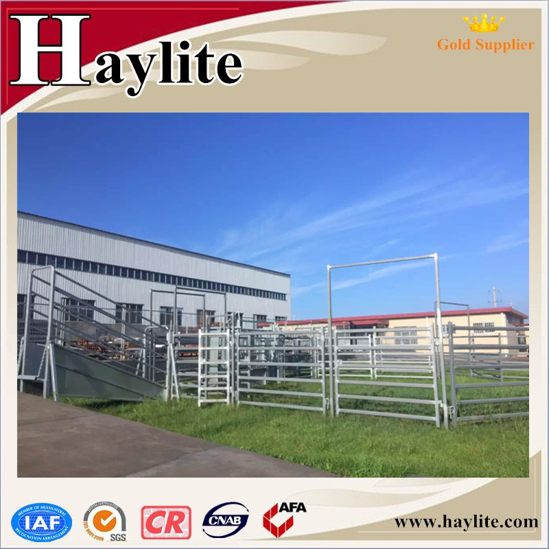 Qingdao Haylite Machinery Co., Ltd | Jimo