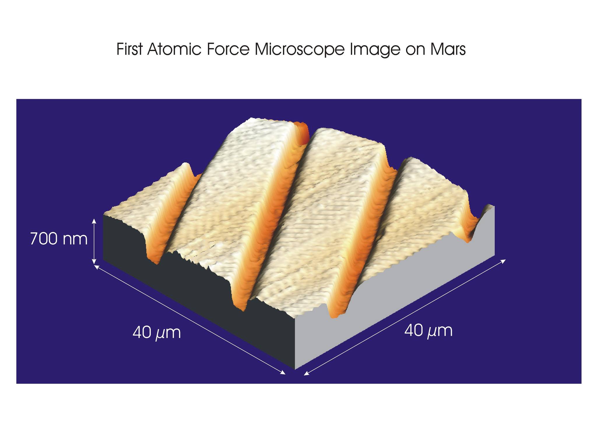 NanoAndMore - On July 9th 2008 this calibration image was acquired by ...