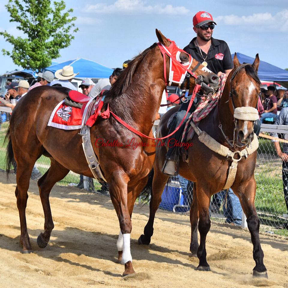 La Mamacita De Cuadra RCCA - Caballos Ligeros De Chicago