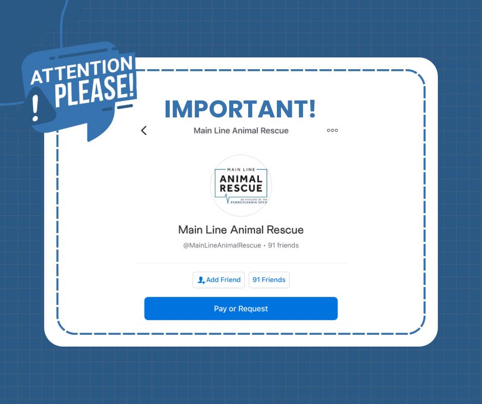Main - ⚠️Important!⚠️ It has come to our attention that there are ...