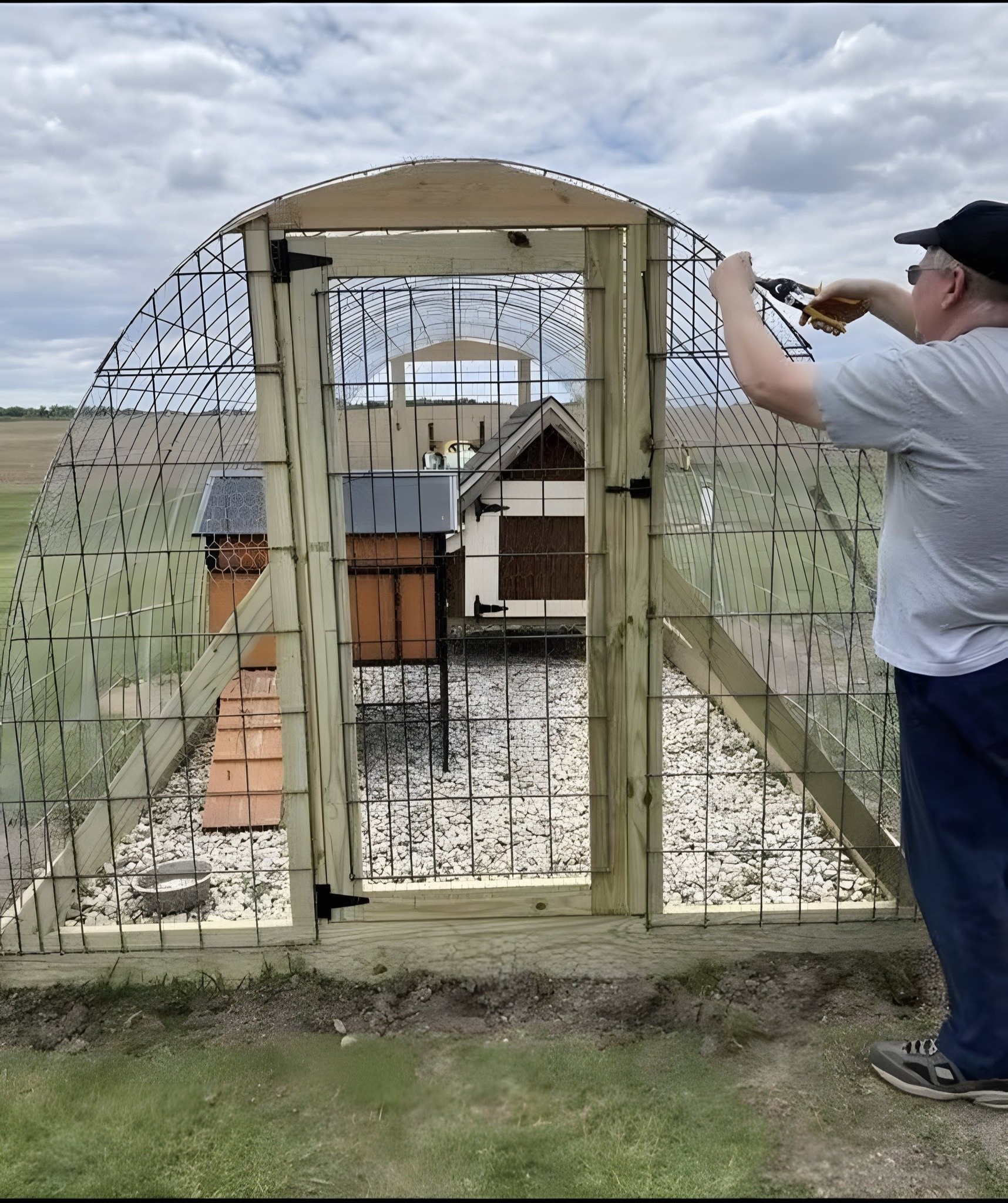 Photo inspiration: Fresh Look at Angelina Building An Outdoor Aviary