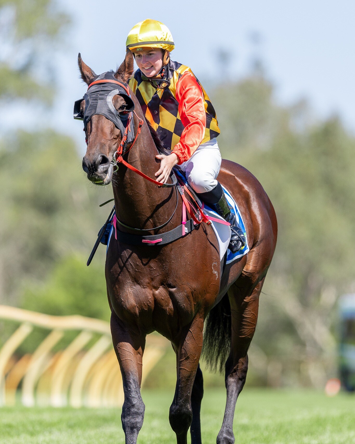 Racing - Provincial W for Polly Conni Island and the apprentice hung on ...