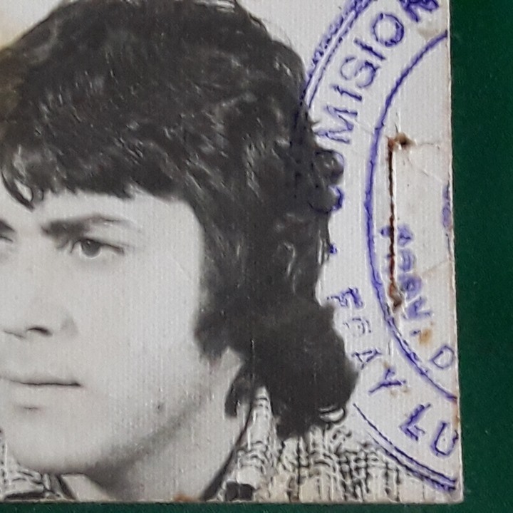 Hugo rozié terapias holísticas