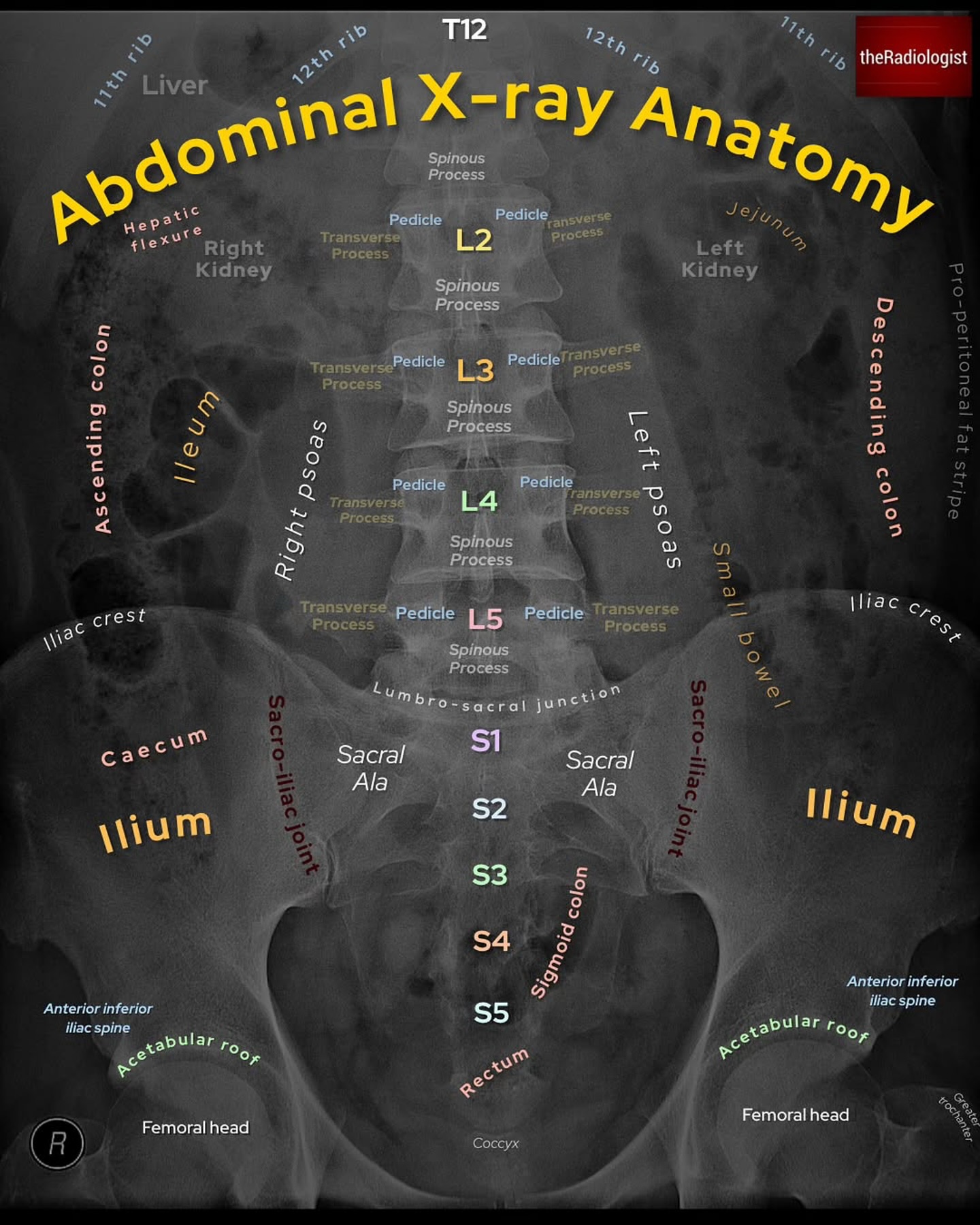 PhysioOsteoBook - PhysioOsteoBook added a new photo.