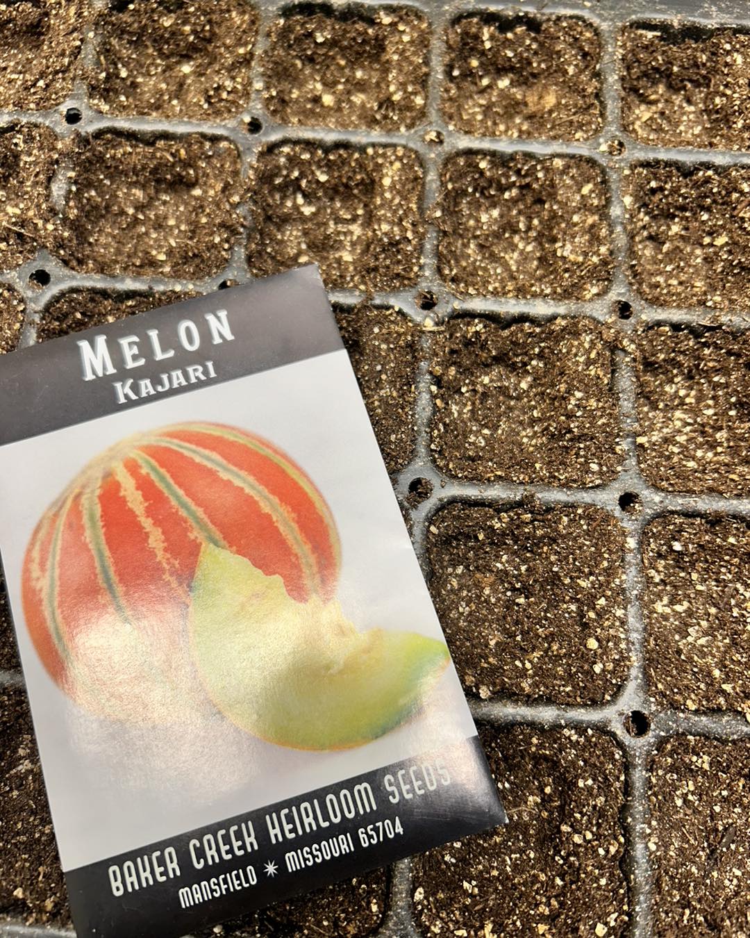 One of our most beloved varieties. A strikingly beautiful, tasty