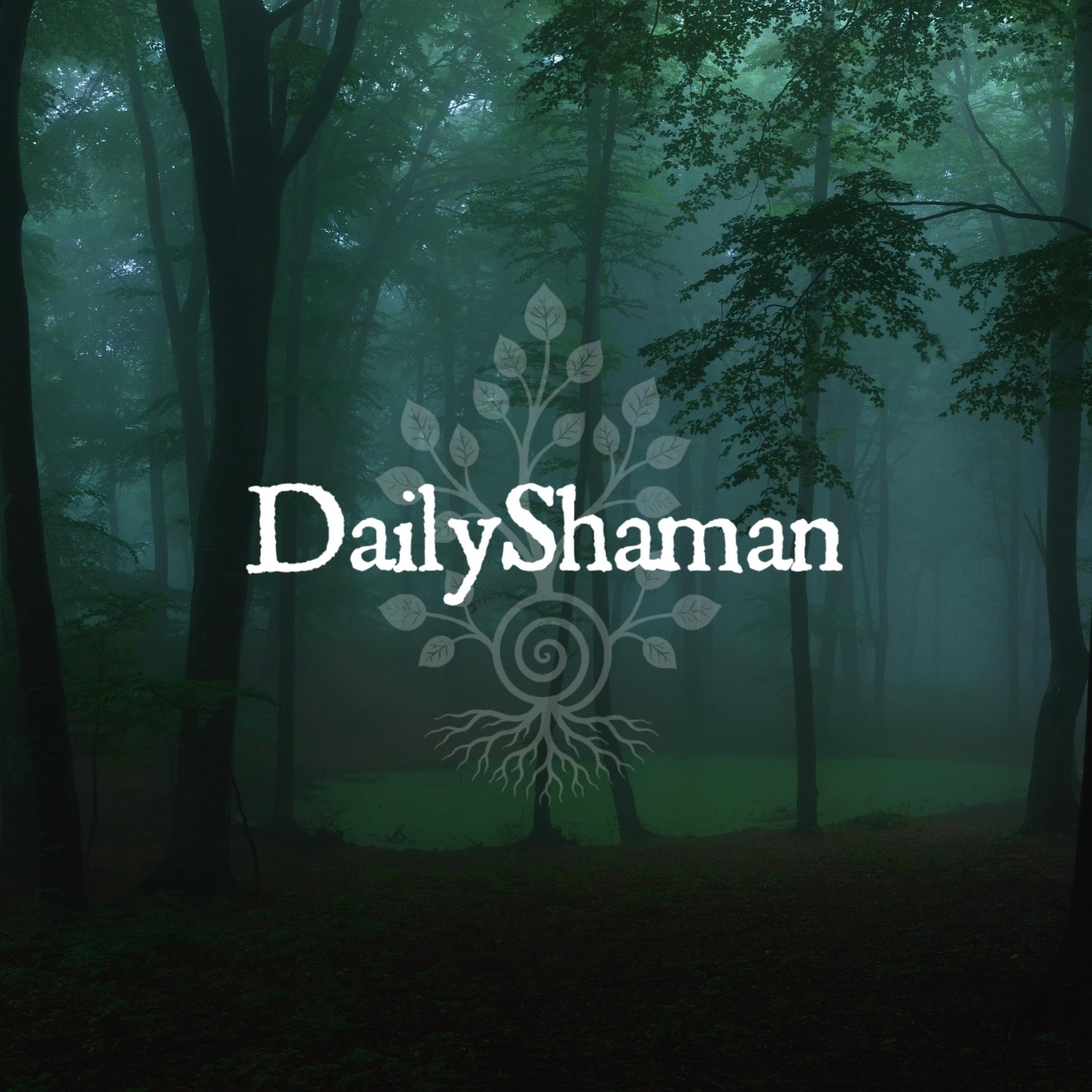 DailyShaman - Hello Autumn! 🍁 Autumn means aligning our... | Facebook