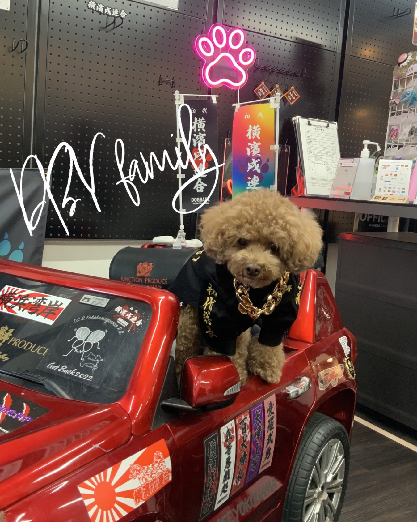 こんにちは！DBYです🐕✨ 本日は、名入れオーダーいただきました 柴犬