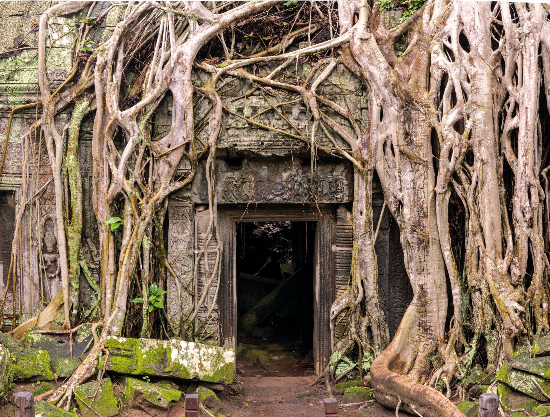 Journey into one of the world's most extraordinary civilizations