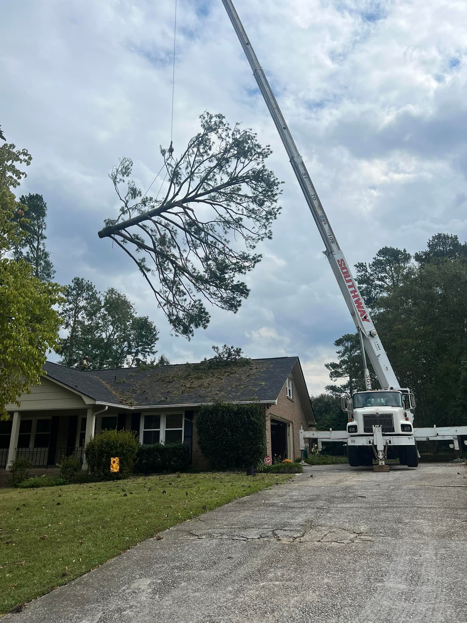 Canopy Tree Service | Lexington SC