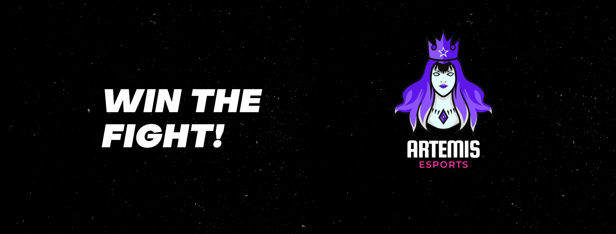 Artemis Esports