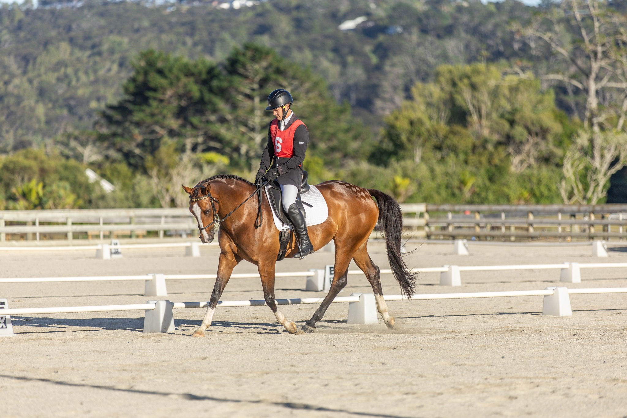Wainoni Park Pony Club ODE gallery... - Lindy W Photography | Facebook