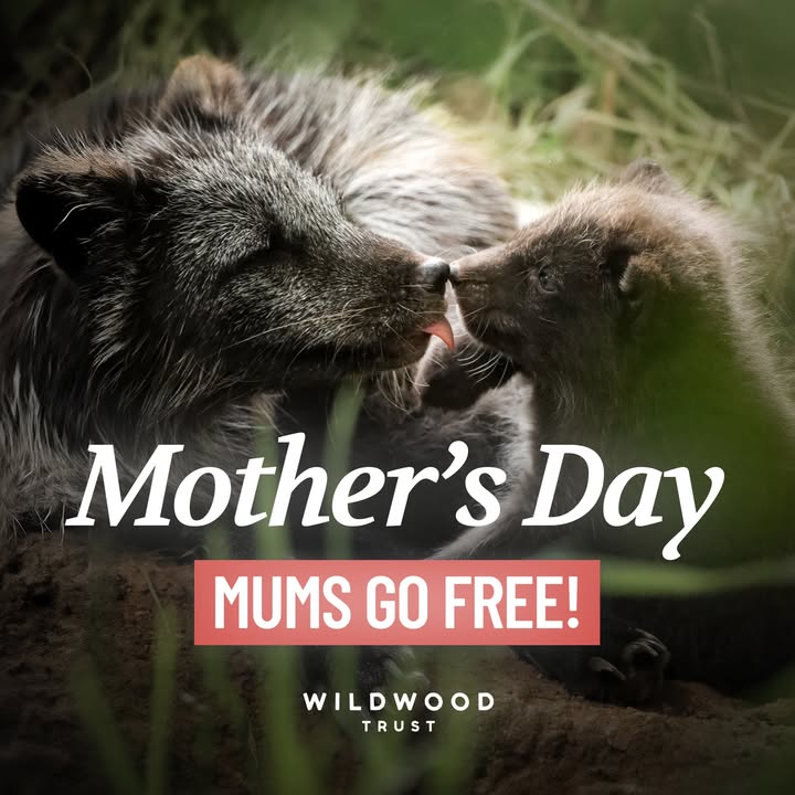 Wildwood - Celebrate Mother’s Day with us – Mum's go FREE today at ...