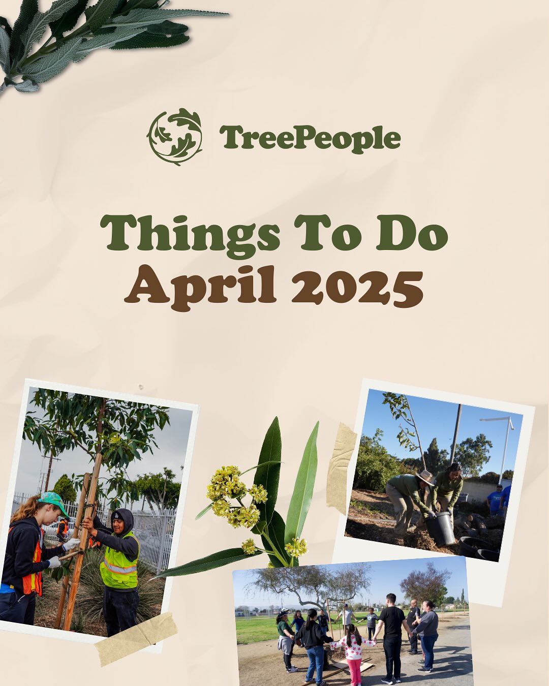 TreePeople | Beverly Hills CA