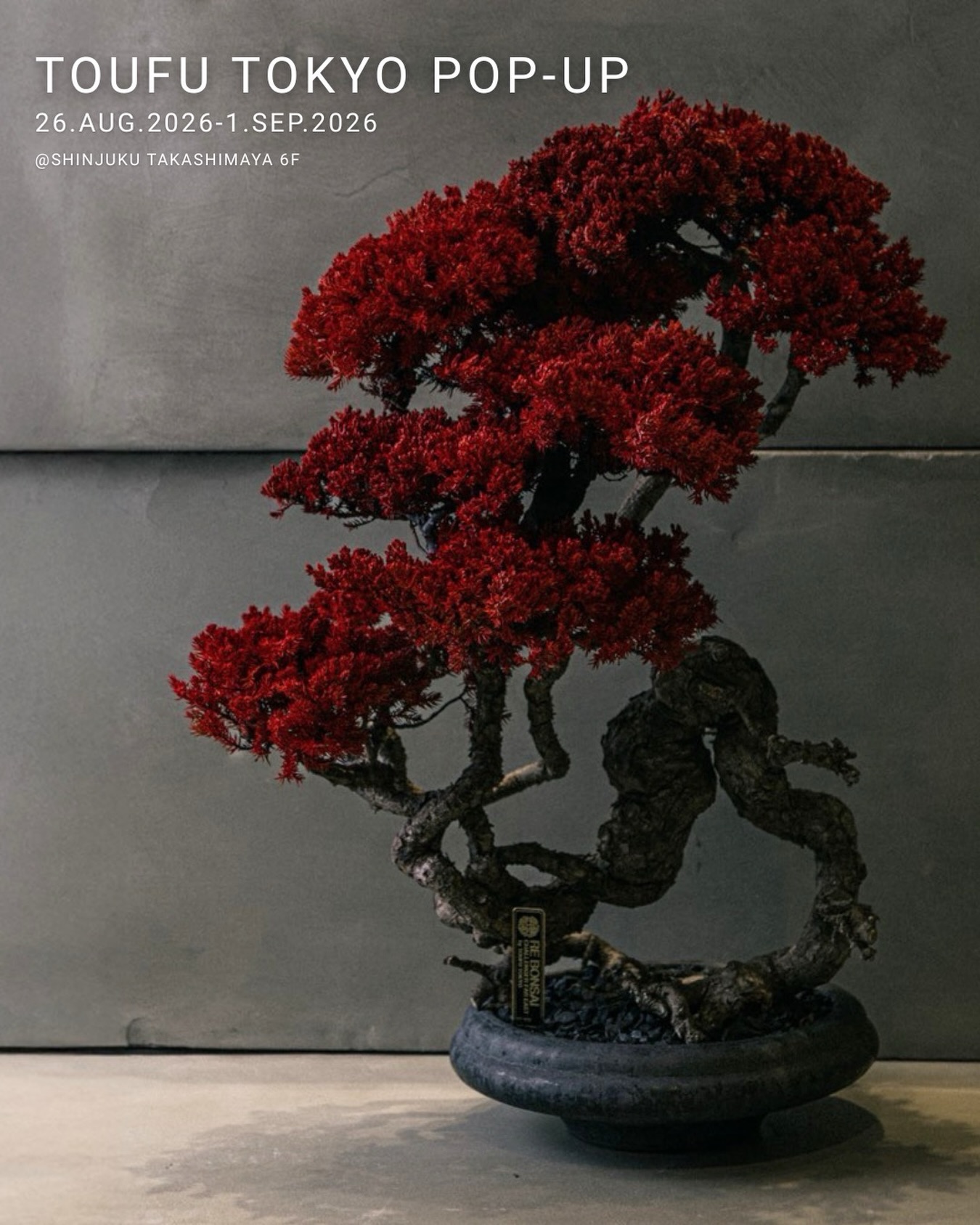 TOUFU TOKYO トウフトウキョウ REBONSAI リボンサイ Toufu.tokyo | Minato-ku Tokyo