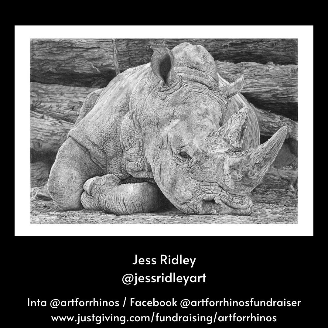 Art - How beautiful is this print of ‘Heavy Sleeper’ by Jess Ridley Art ...