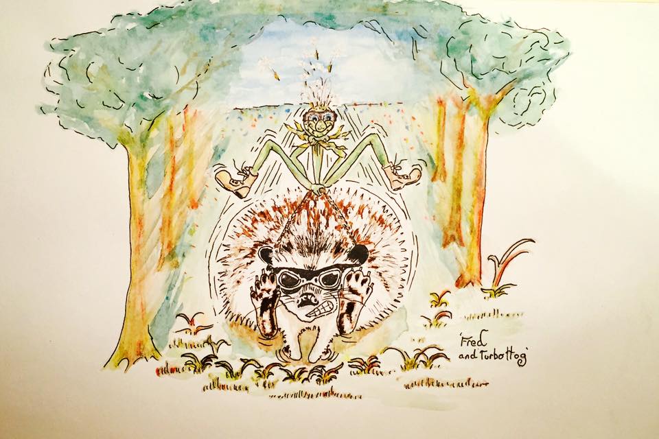 Nobby and the Fairling - Home