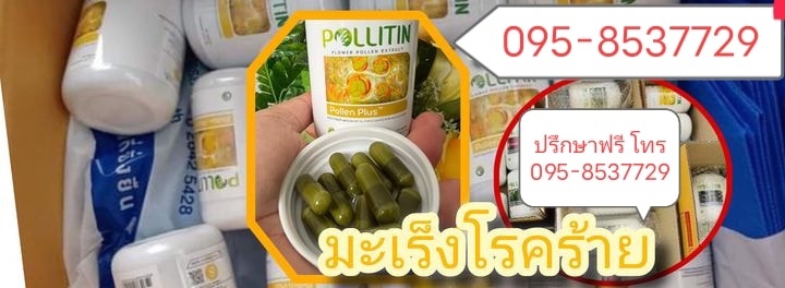 Politin พอลลิติน สารอาหารบำบัดฟื้นฟู มะเร็ง เนื้องอก ของเเท้