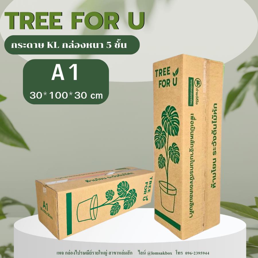 กล่องไปรษณีย์รายใหญ่ เพชรบูรณ์ - สาขา หล่มสัก