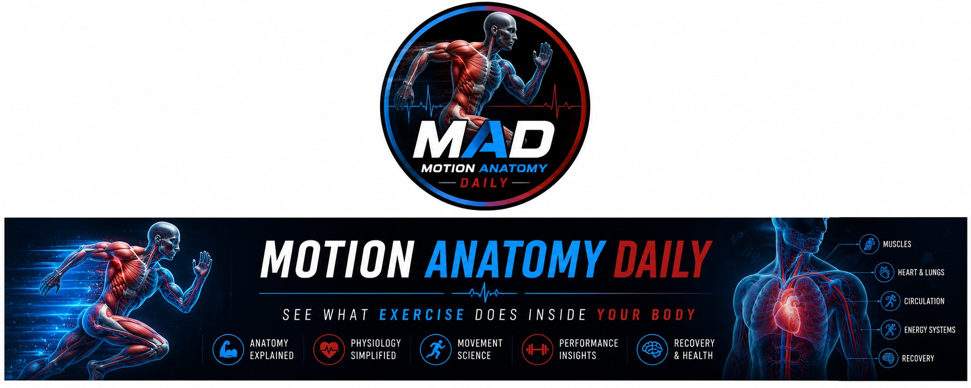 The Dumbbell Romanian Deadlift is one of the best-known hip-hinge ...