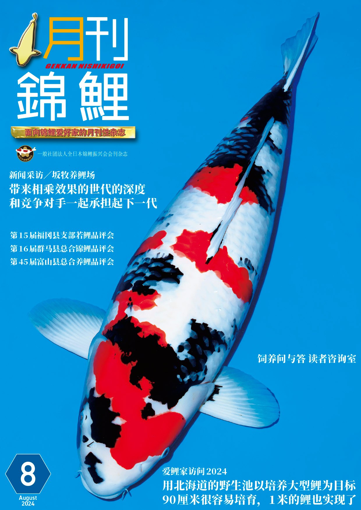 月刊錦鯉 2024年 1月号〜12月号 12冊セット