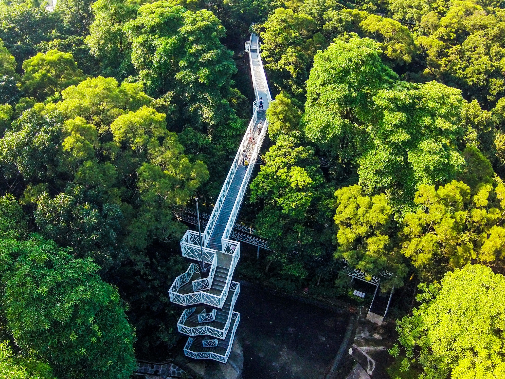 近距離賞瀑布，感受飄谷雨下品茗喝咖啡順遊太興村「#萬鷺朝鳳」追白龍