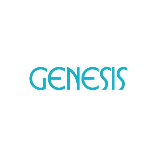 Genesis Development | San Po Kong
